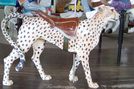 Wood Cheetah