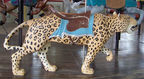 Wood Leopard