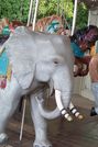 Elephant Head Detail