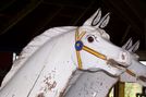 Herschell-Spillman Jumpers Head Detail