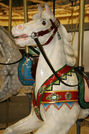 German Horse From Neustadt an der Orla