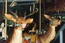 Dentzel Deer