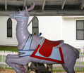 Muller Deer