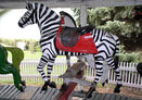 Muller Zebra