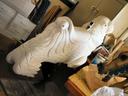 Restoration Shop Walrus