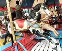 Norman & Evans Horses