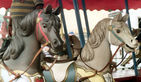 Norman & Evans Horses