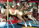 Norman & Evans Horses