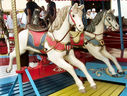 Norman & Evans Horses