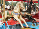 Norman & Evans Horses