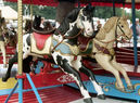 Norman & Evans Horses