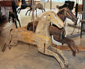 Primitive Horses Close-up