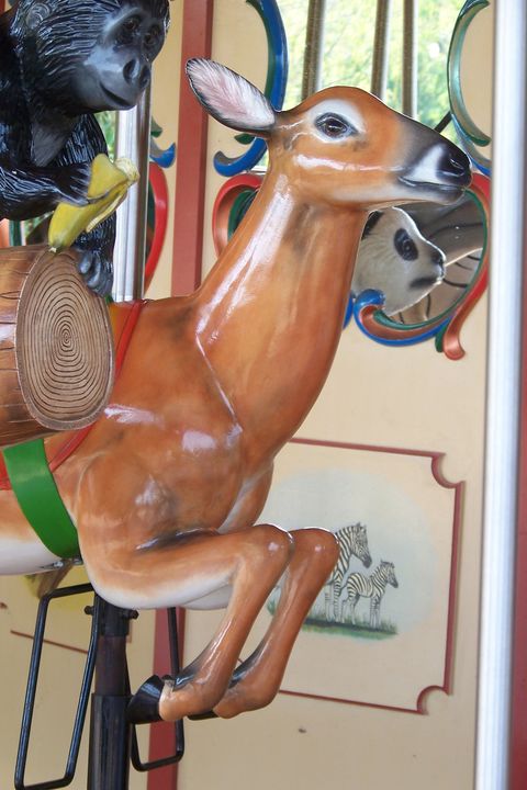 Click to display the next picture