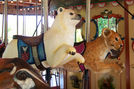 (L-R) Polar Bear Cub and Lion Cub