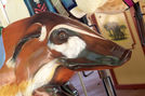 Red River Hog  Head Detail