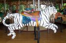 White Tiger