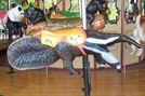 Giant Anteater