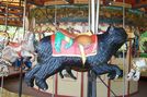 Black Bear