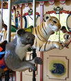 (L-R) Koala Bear and Tiger Cub