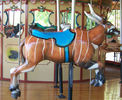 Bongo Antelope