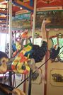 (L-R) Snakes and Ostrich