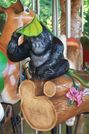 Baby Gorilla