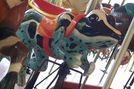 Poison Dart Frog