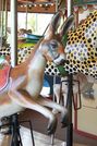 Kangaroo Head Detail