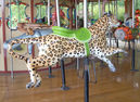Spotted Leopard