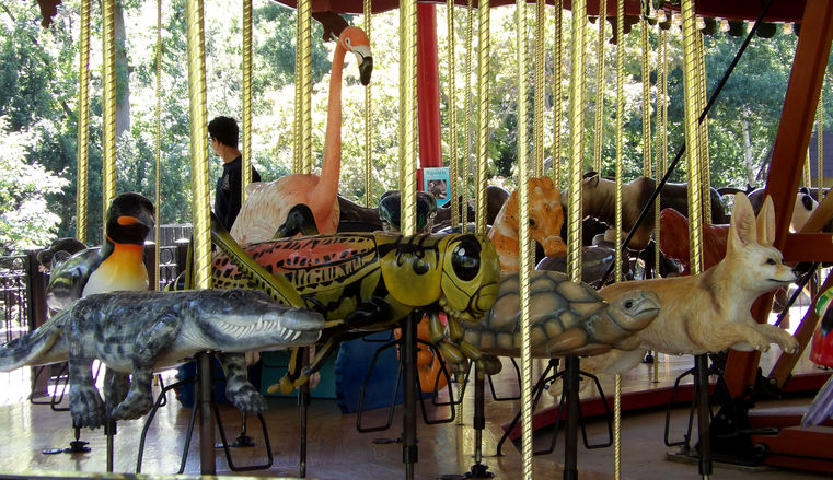 Click to display the next picture