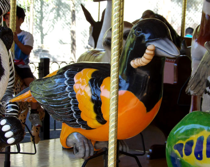 Click to display the next picture