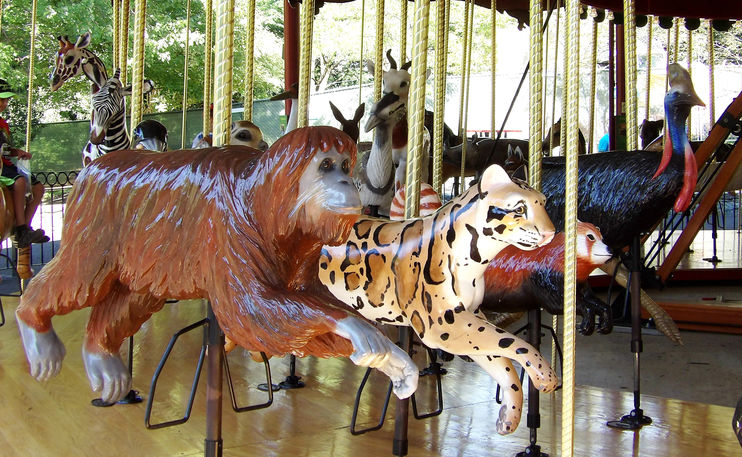 Click to display the next picture