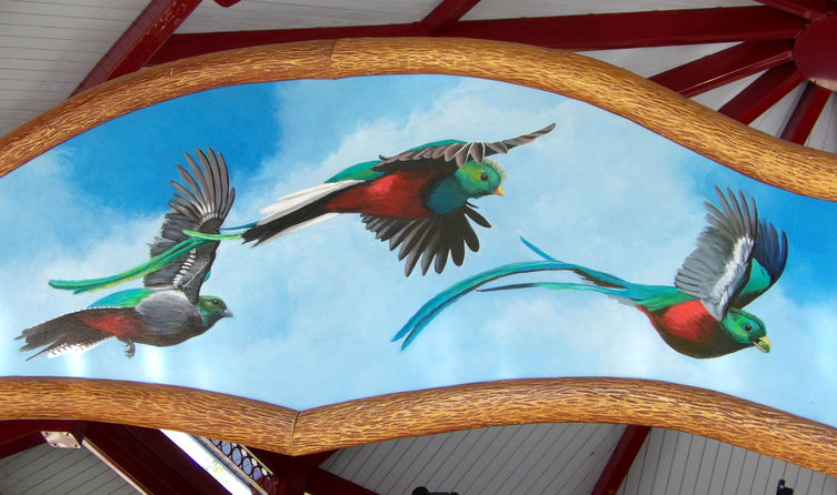 Click to display the next picture