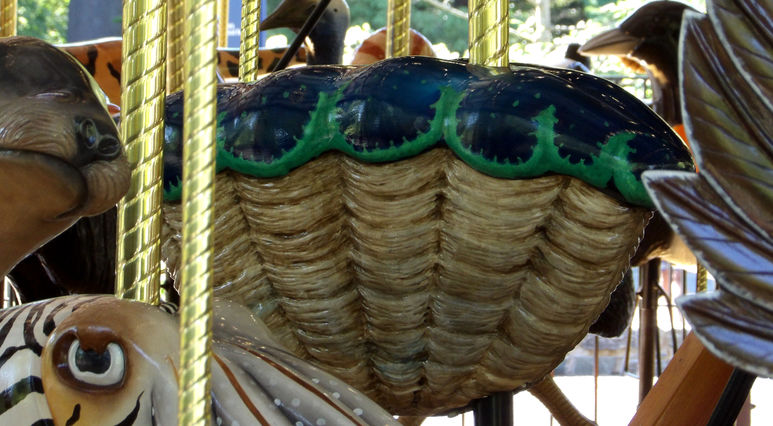 Click to display the next picture