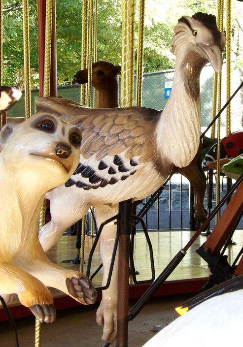 Click to display the next picture