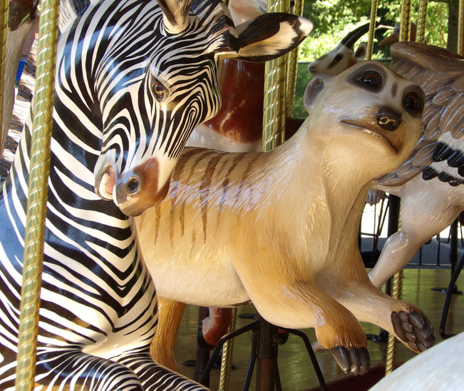 Click to display the next picture