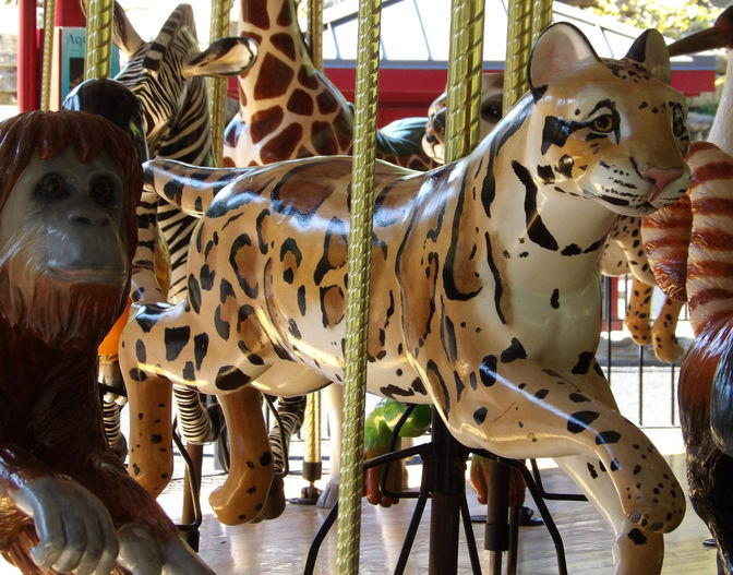 Click to display the next picture