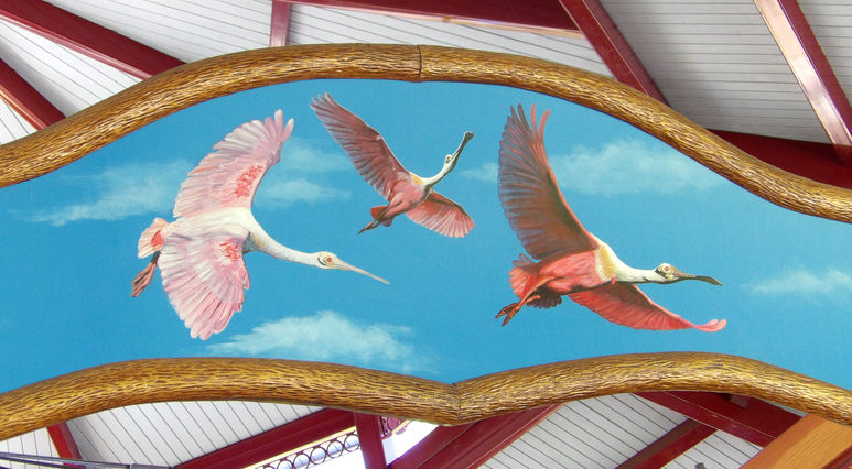 Click to display the next picture