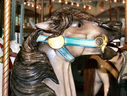 Murphy Head Detail