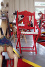Chairs and Stools For Added Riders