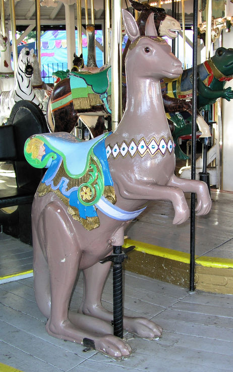 Click to display the next picture