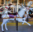 Outside Row Herschell-Spillman Prancing Goat