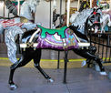 Outside Row Herschell-Spillman Prancing Horse