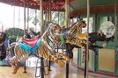 Carousel Works Tiger, Clouded Leopard, and Barbirusa