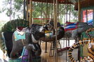 Carousel Works Bear, Sea Otter, and Dolphin