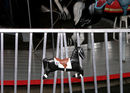 Ride Fence Detail