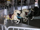 Allan Herschell Metal Children's Carousel Horses
