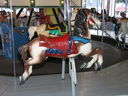 Allan Herschell Wood and Metal Horse
