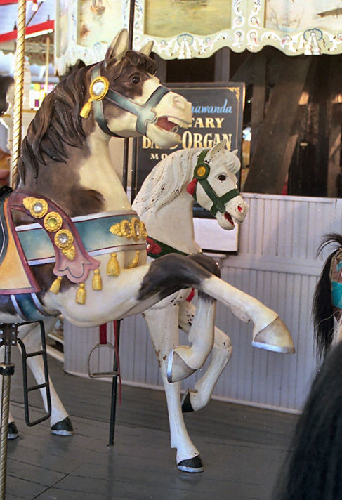 Click to display the next picture