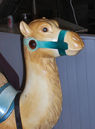 Looff Camel Detail